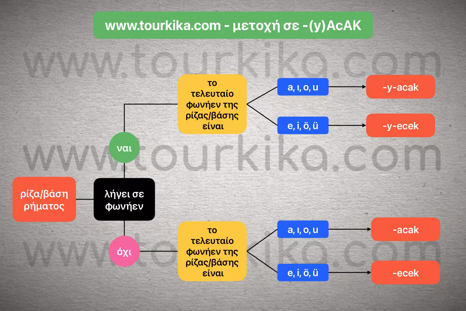 πίνακας με τον αλγόριθμο σχηματισμού της μετοχής σε -(y)AcAK